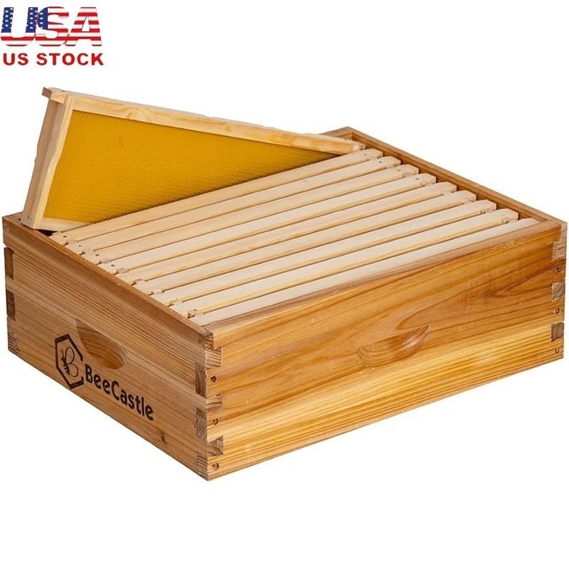 Honey Bee Hive Box Medium Cedarwood 10 Frame Dovetail Joints Beeswax Coated New