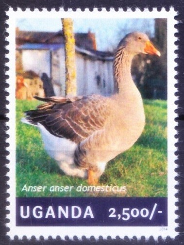 Uganda 2014 MNH, Goose, Birds, Ducks