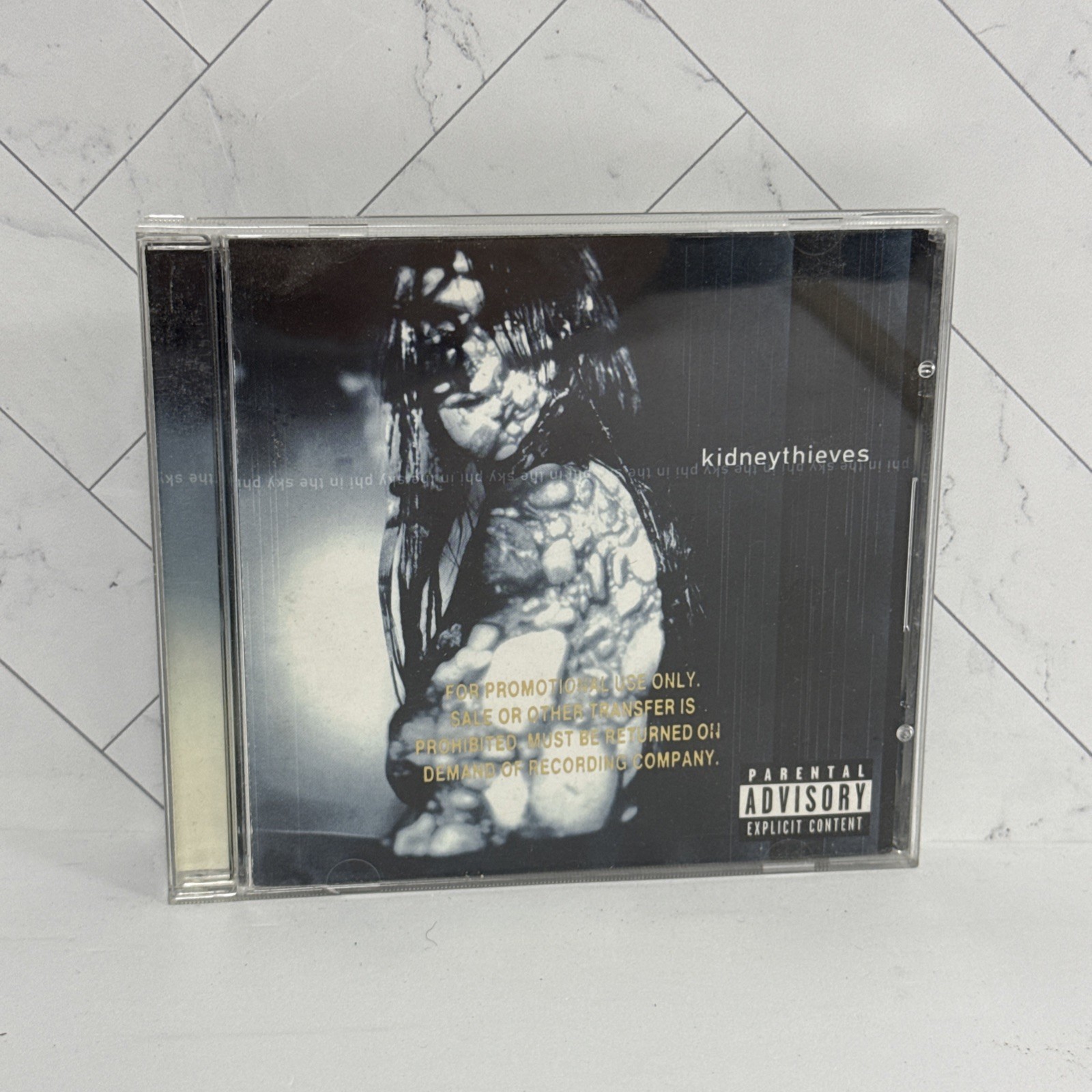 Kidneythieves – Phi In The Sky [2001 Promotional CD]