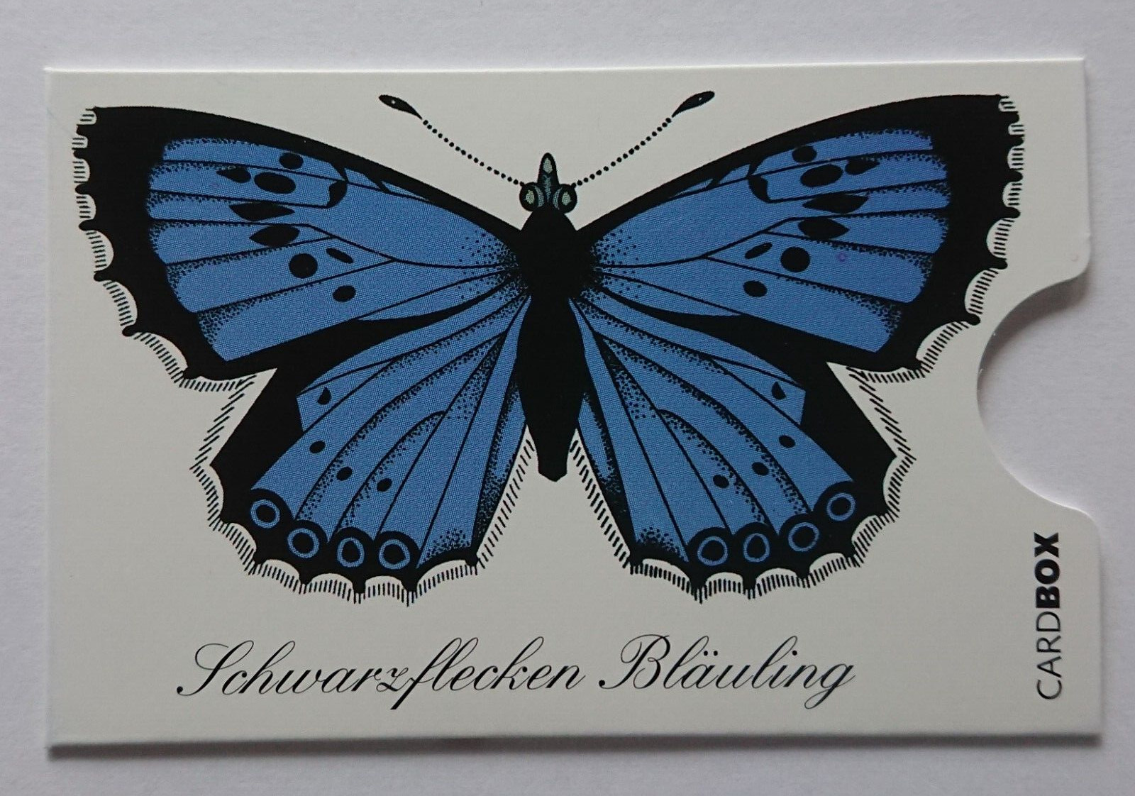 Card Holder Box Phone Card Bankkarte Butterfly Schwarzfleckenbläuling