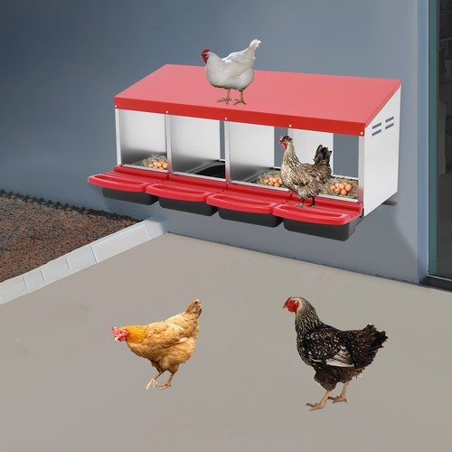 Modern Chicken 4-Compartment Chicken Nesting Box Nesting Box Chicken Laying Box