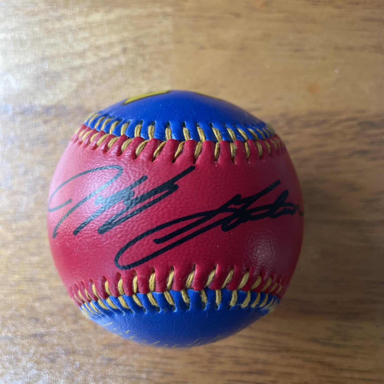 Hendricks Motorsports Jeff Gordon #24 Souvenir Collectible Baseball