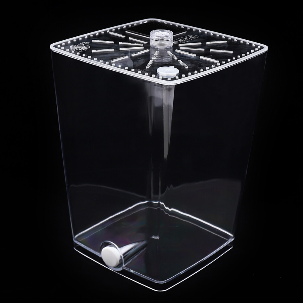 Reptile Cage Enclosure Box Tarantula Insect Scorpion Breeding Clear Display Case