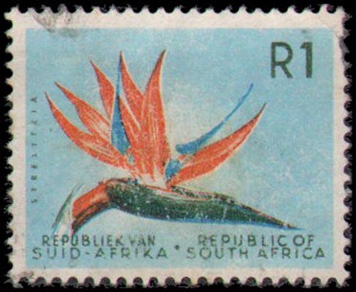 South Africa #266 Used