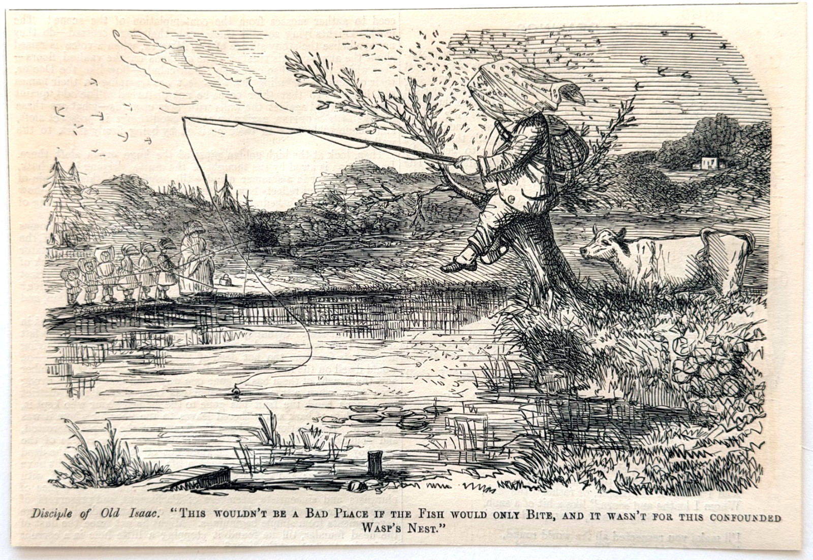 1852 Fly Fishing Wasp Nest Humor Satire Punch Wood Engraving Victorian Art