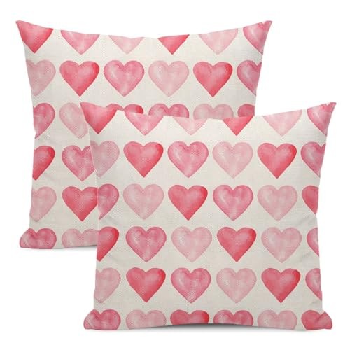 Valentine's Day Pillow Covers 18x18 Inch Set of 2, 18" x 18" (Pack of 2) Vl4