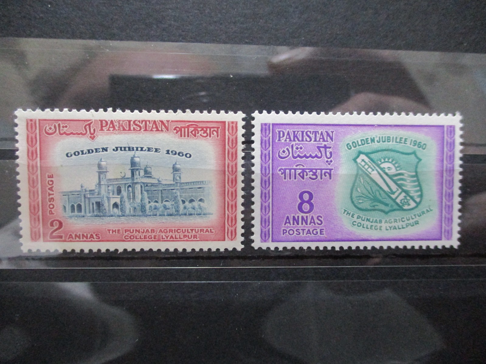 Pakistan 1960 - Agricultural College In Punjab Jubilee - MNH Set  - SG114 - 5