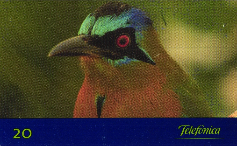 979 Phonecard Used Brazil Aves Do Brasil Juruva 571