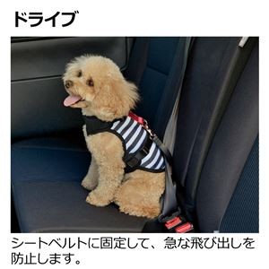 Outing Vest Harness M, Camouflage (Dog Harness) [Wholesale]
