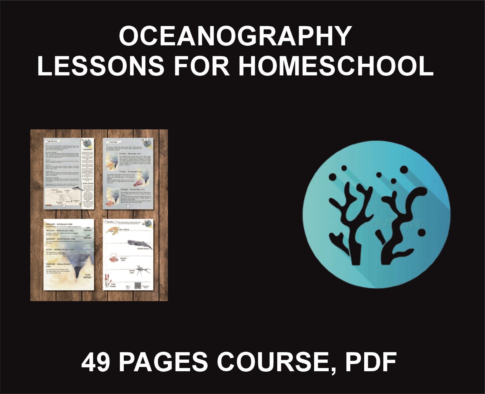 Oceanography, Lesson For Homeschool, PDF