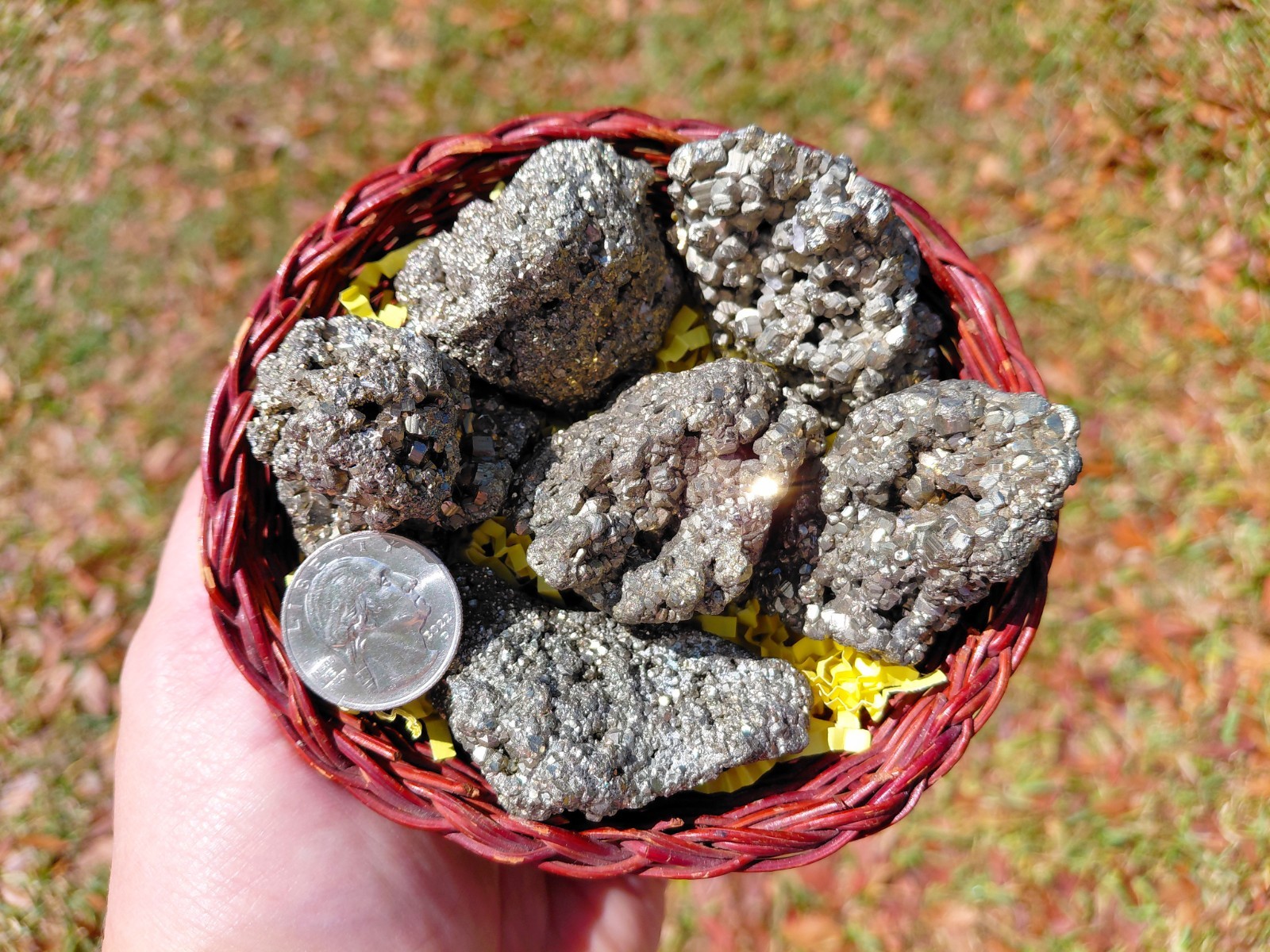 Collection Of Rhombic Pyrite Clusters From Peru