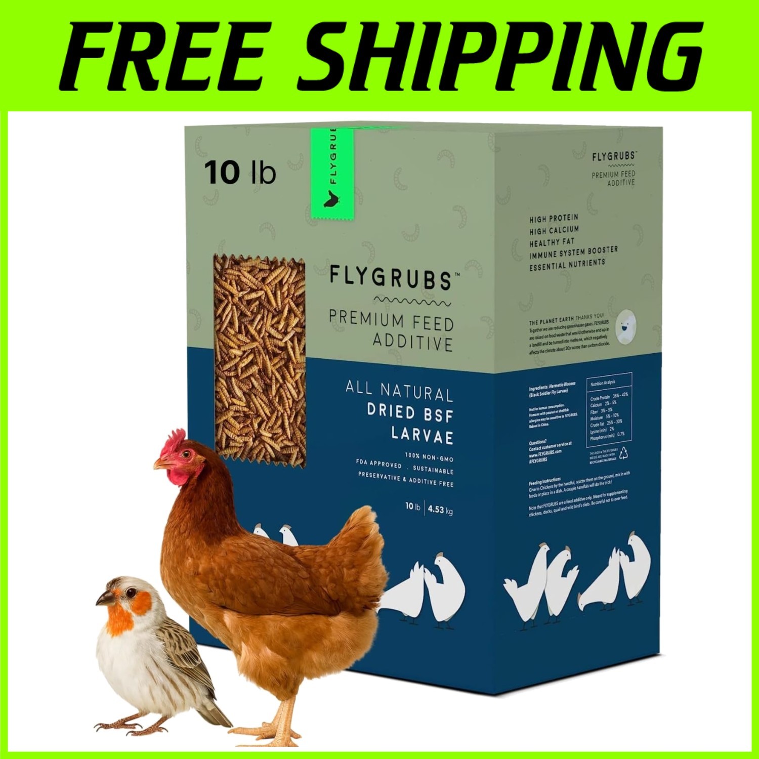 Stronger Eggs, Feathers - Dried Black Soldier Fly Larvae