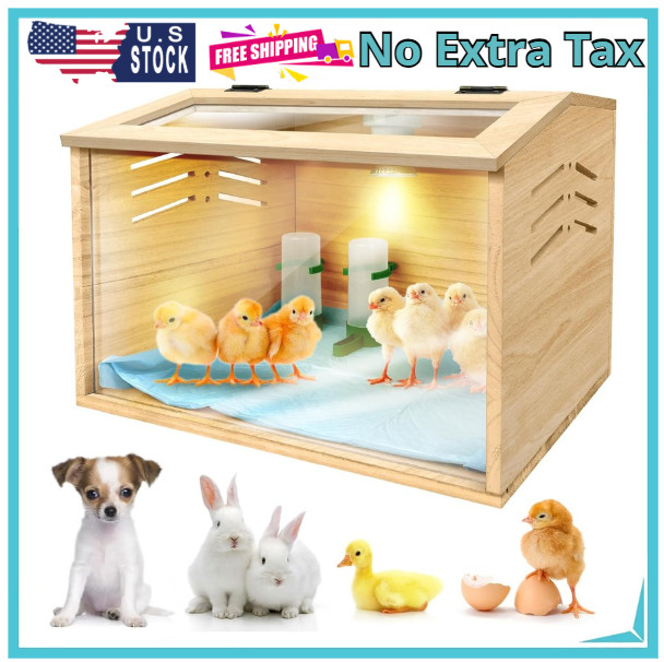 Chicken brooder Box Quail Cage Small Chicken Coop Supplies 15.7 X 12 X 12 inches