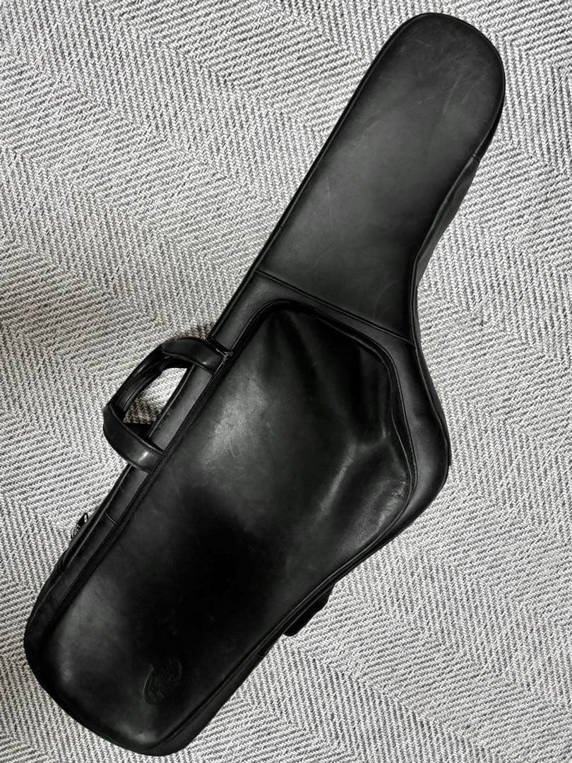 Price reduction [Reunion Blues] Tenor saxophone case