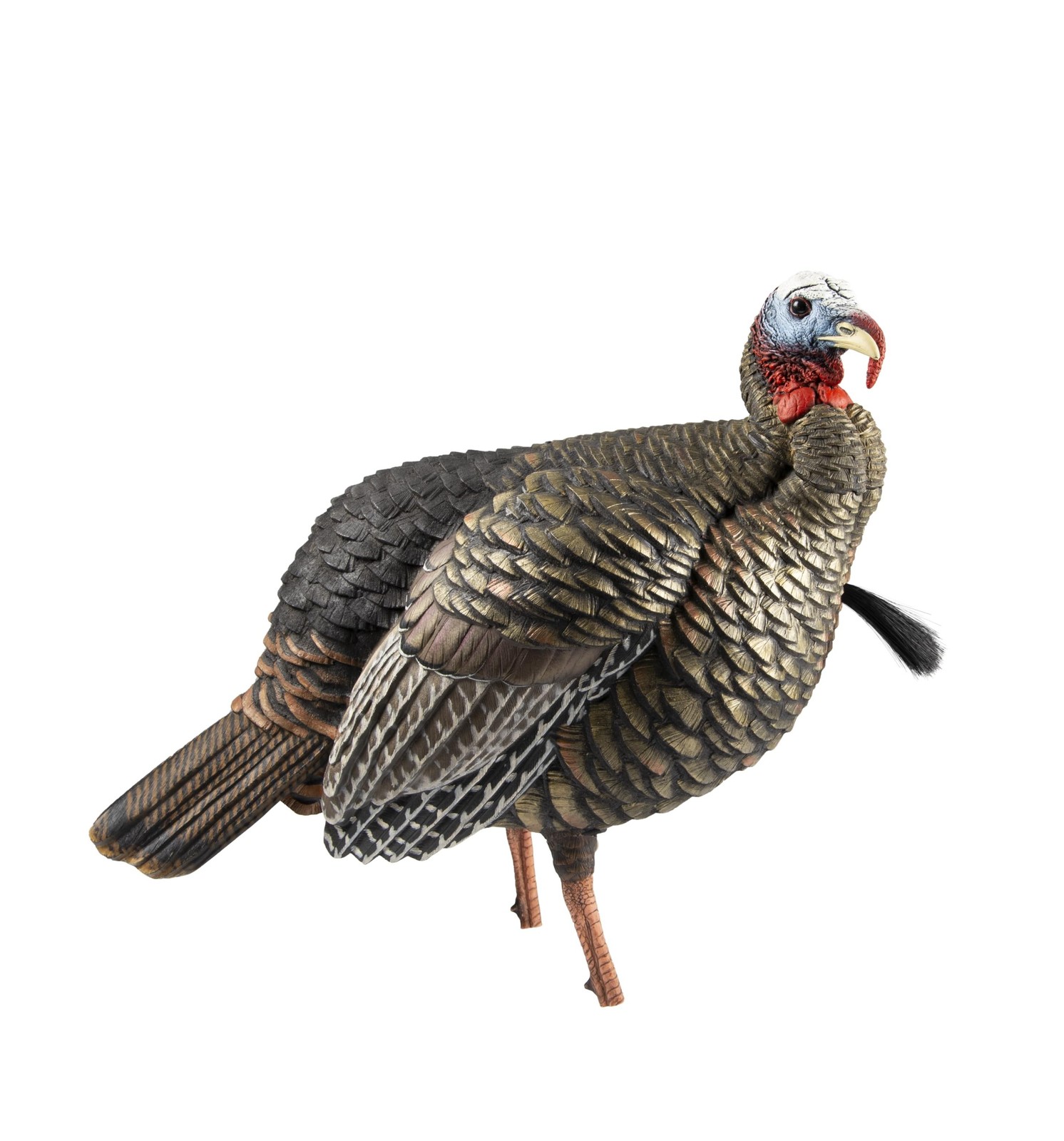 Avian-X HDR Jake Turkey Decoy | Rugged Durable Realistic Lifelike Quarter-Str...