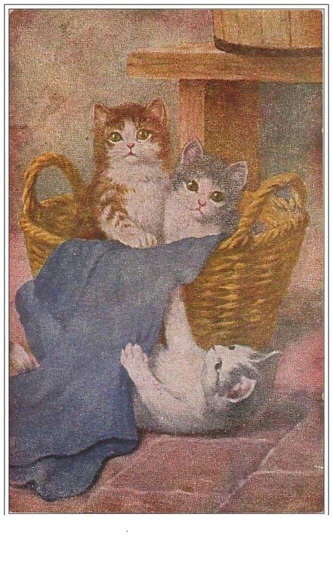 Cats No. 1024 Cats Playing In A Basket