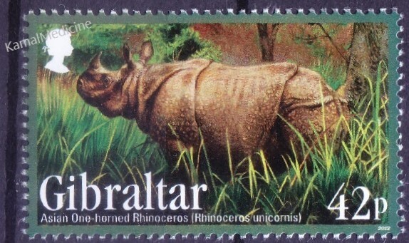 Gibraltar 2012 MNH, Asian one Horned Rhino, wild animals [E1]