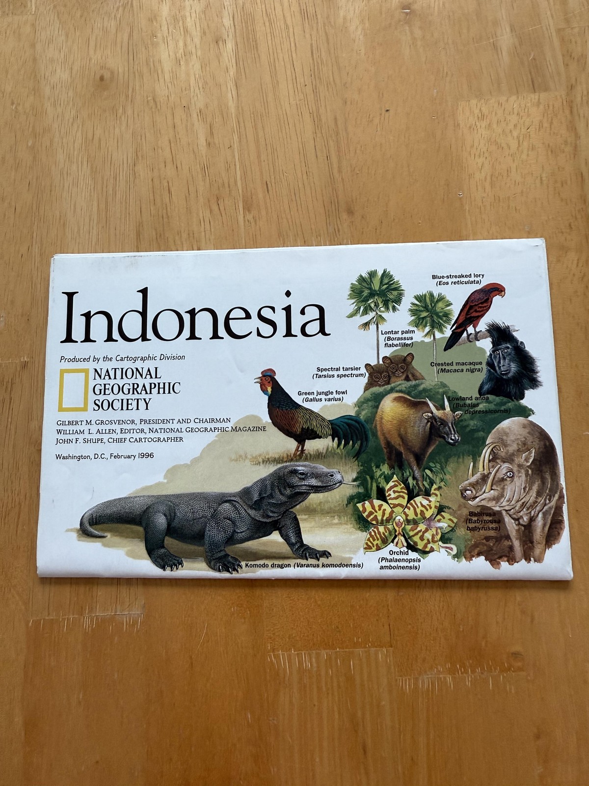 Vintage 1996 National Geographic Indonesia Fold Out Map Double Sided Poster