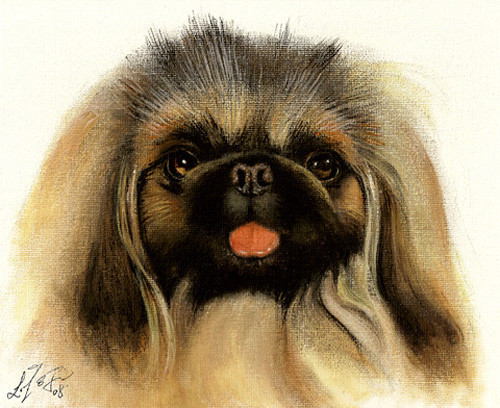 ✤ Photograpy PORTRAIT SERVICE Oil Painting 1 Pet 12x16 Commission Art Dog Cat