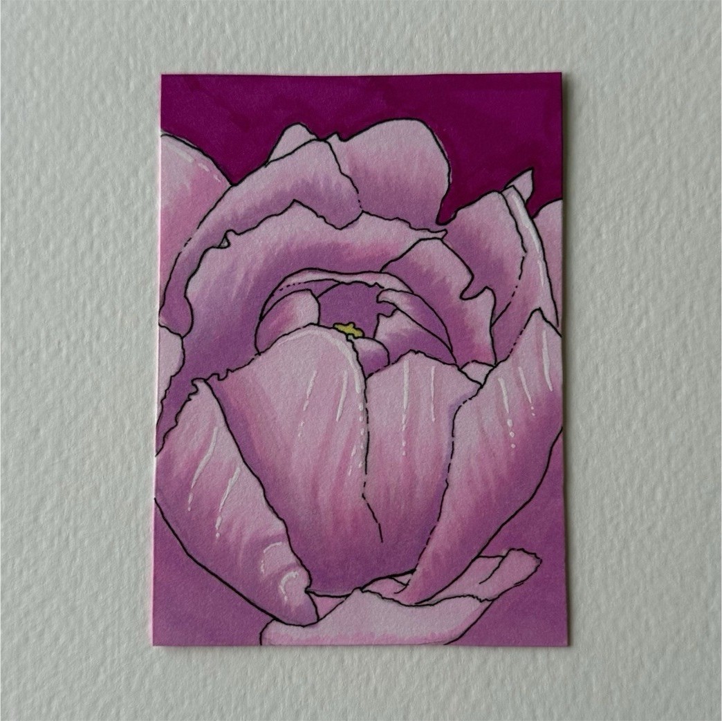 ACEO Original pink flower by lacyembers 