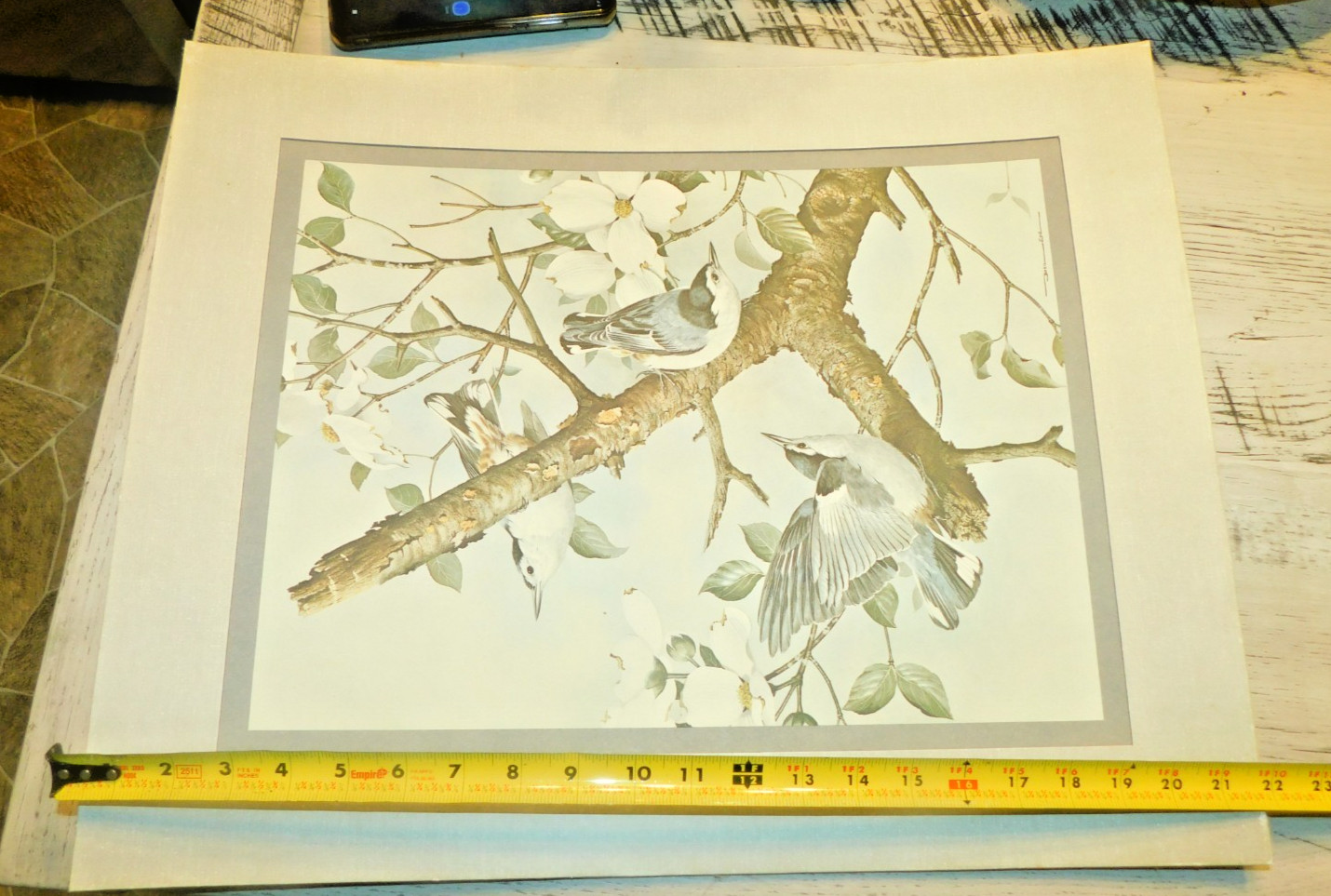 VINTAGE Basil Ede White Breasted Nuthatches