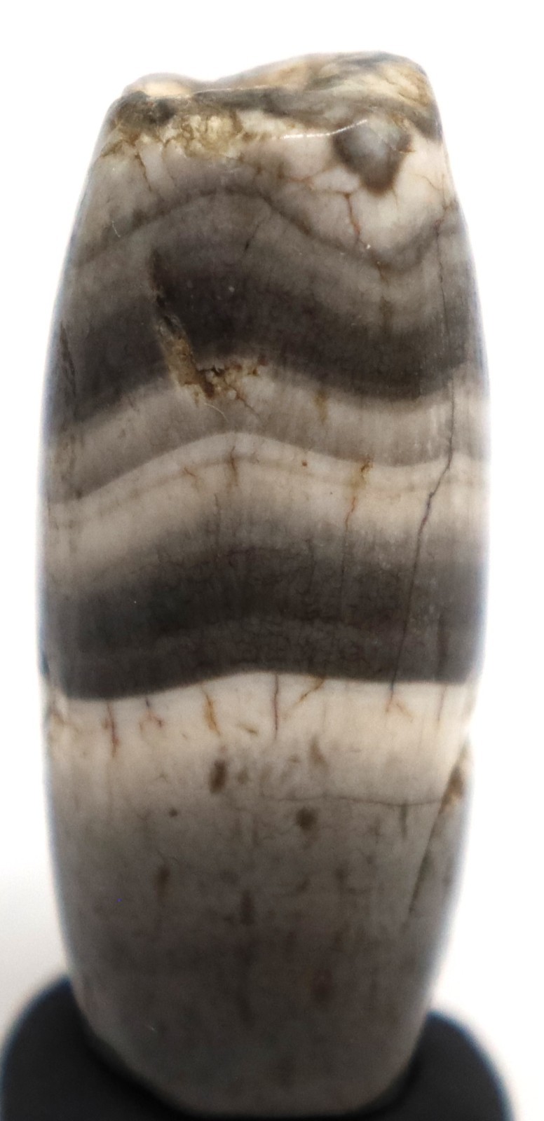 Ancient Himalayas, Tibet, Nepal, Bhutan,Black and White Dzi bead, old agate bead