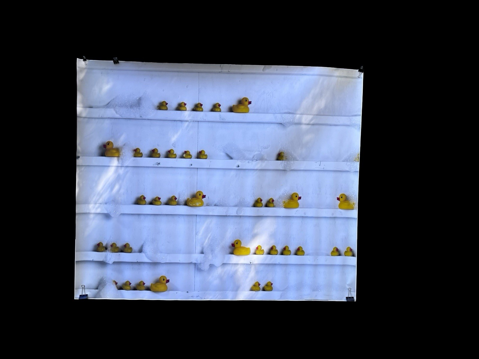 6 Ft Poly My Rubber Ducky Backdrop Portrait Background For Photography Studio