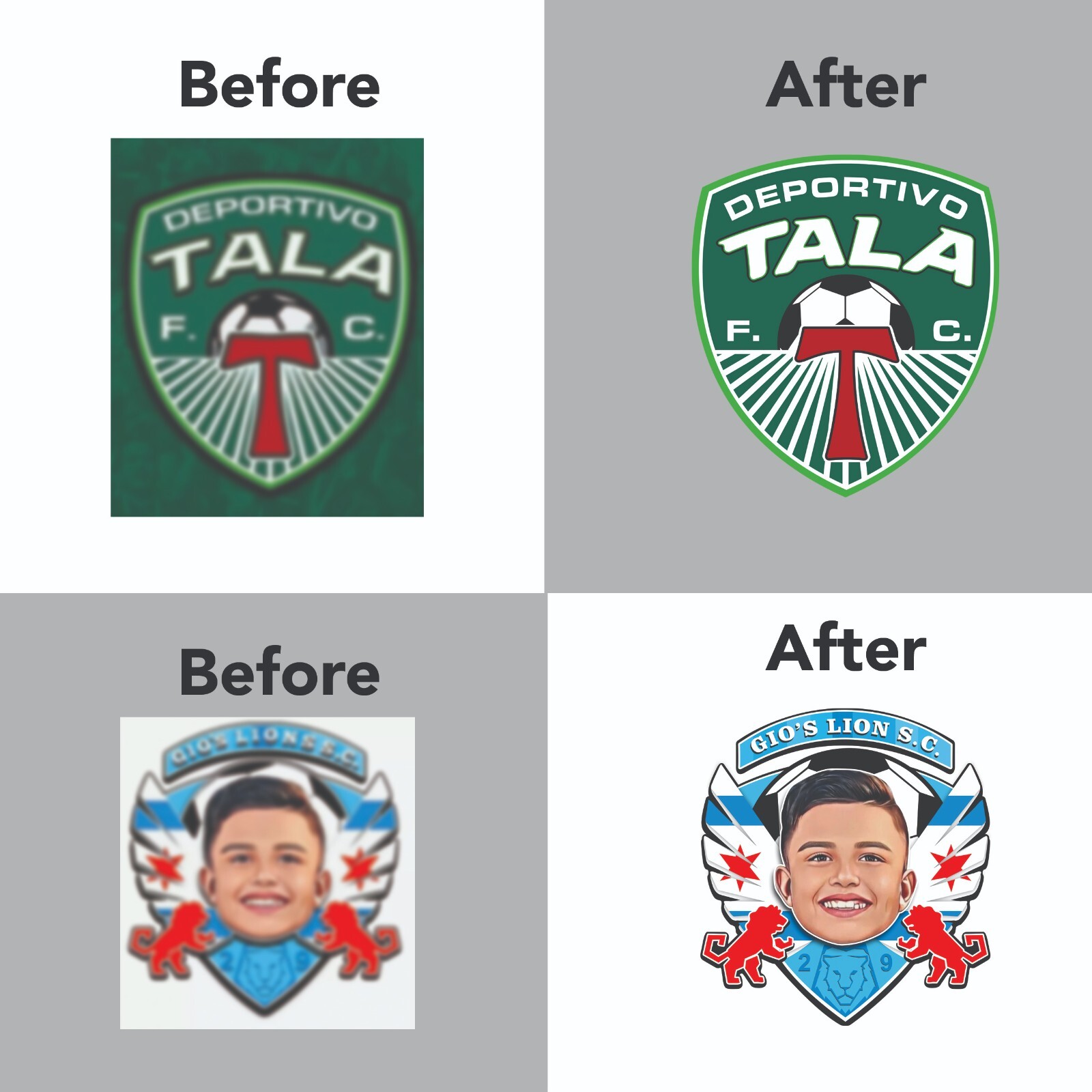 Vector Logo Design (Low Resolution to High Resolution Vector file)