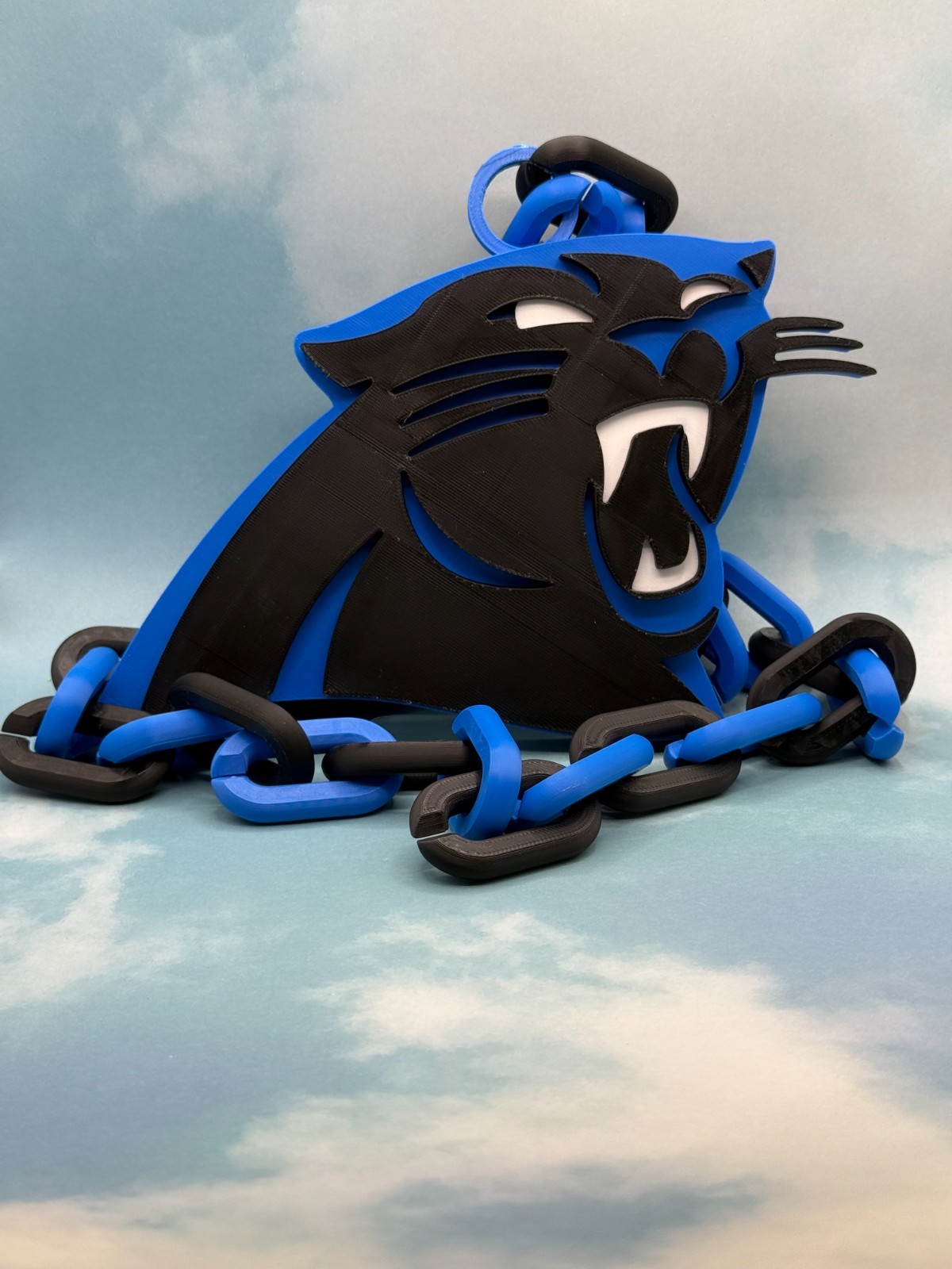 Carolina Panthers Oversized Fan Necklace, Pendant & Chain