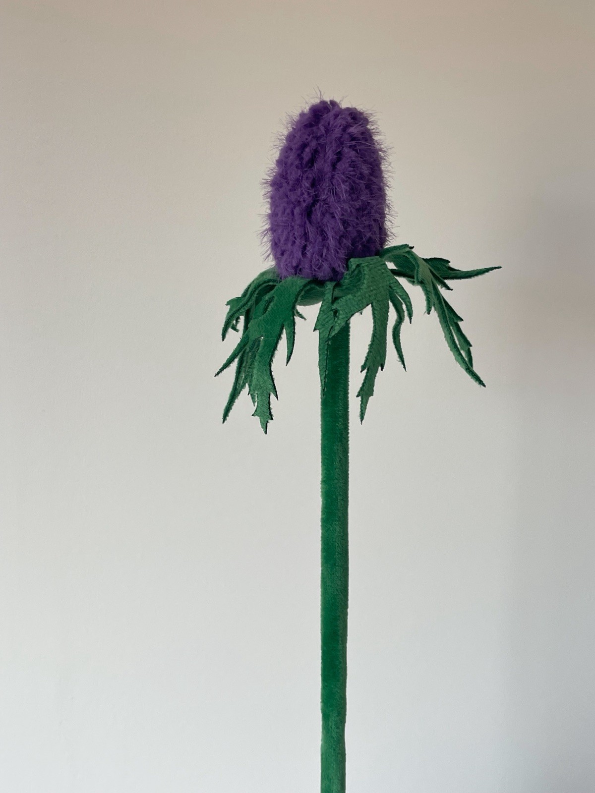 CJ Hendry Flower Shop purple bloom