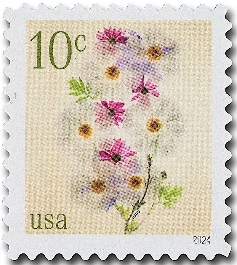 Full Sheet of 20 White Poppies and Purple Coneflowers Stamps: Flowers, Echinacea
