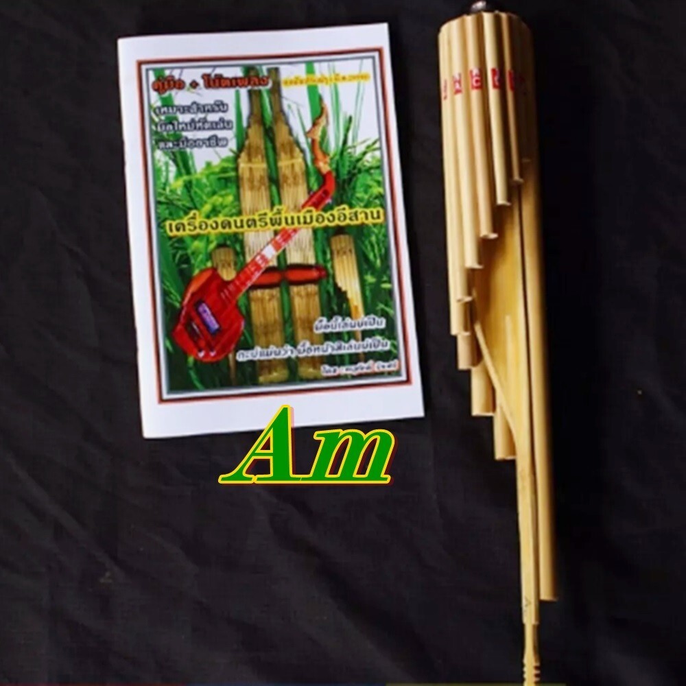 Wote Am Bamboo Musical Crafts Wot Instrument Traditional Panpipe Flute Isan Laos