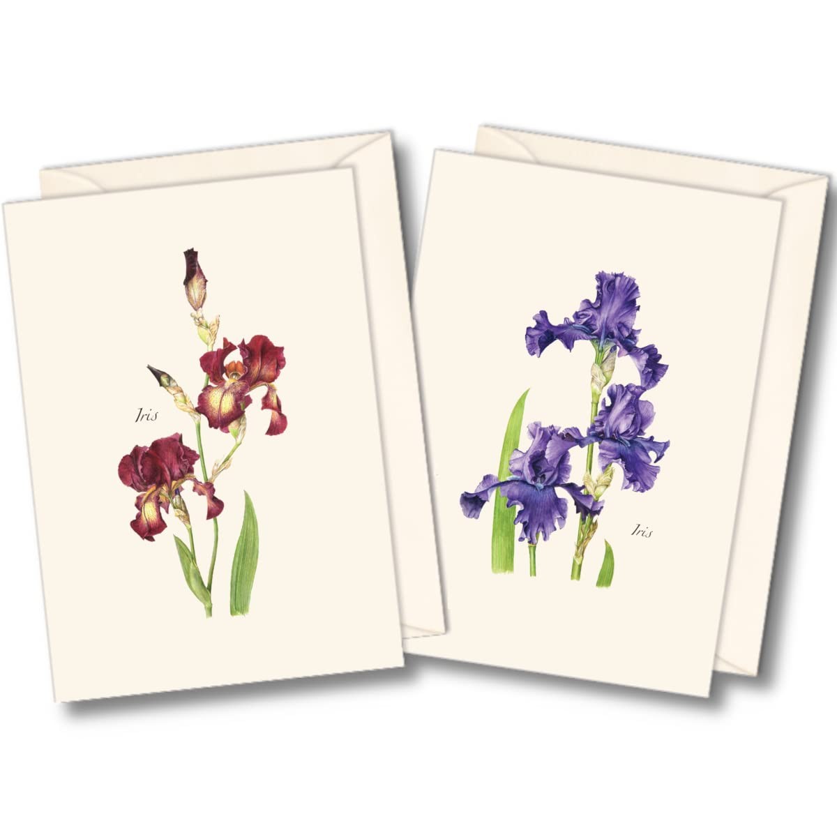 8 PCS Iris Flower Assortment Notecard Set Blank Cards Envelopes Greeting
