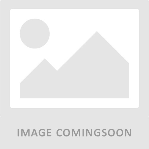 Asus NUC 15 Pro Plus Desktop Computer - Intel Core Ultra 9 285H - 32 GB - 1 TB S