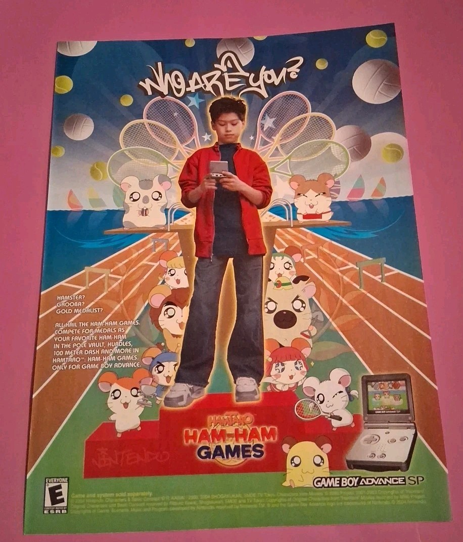 Hamtaro Ham-Ham Games Video Game Vintage Print Ad 2004 8x11