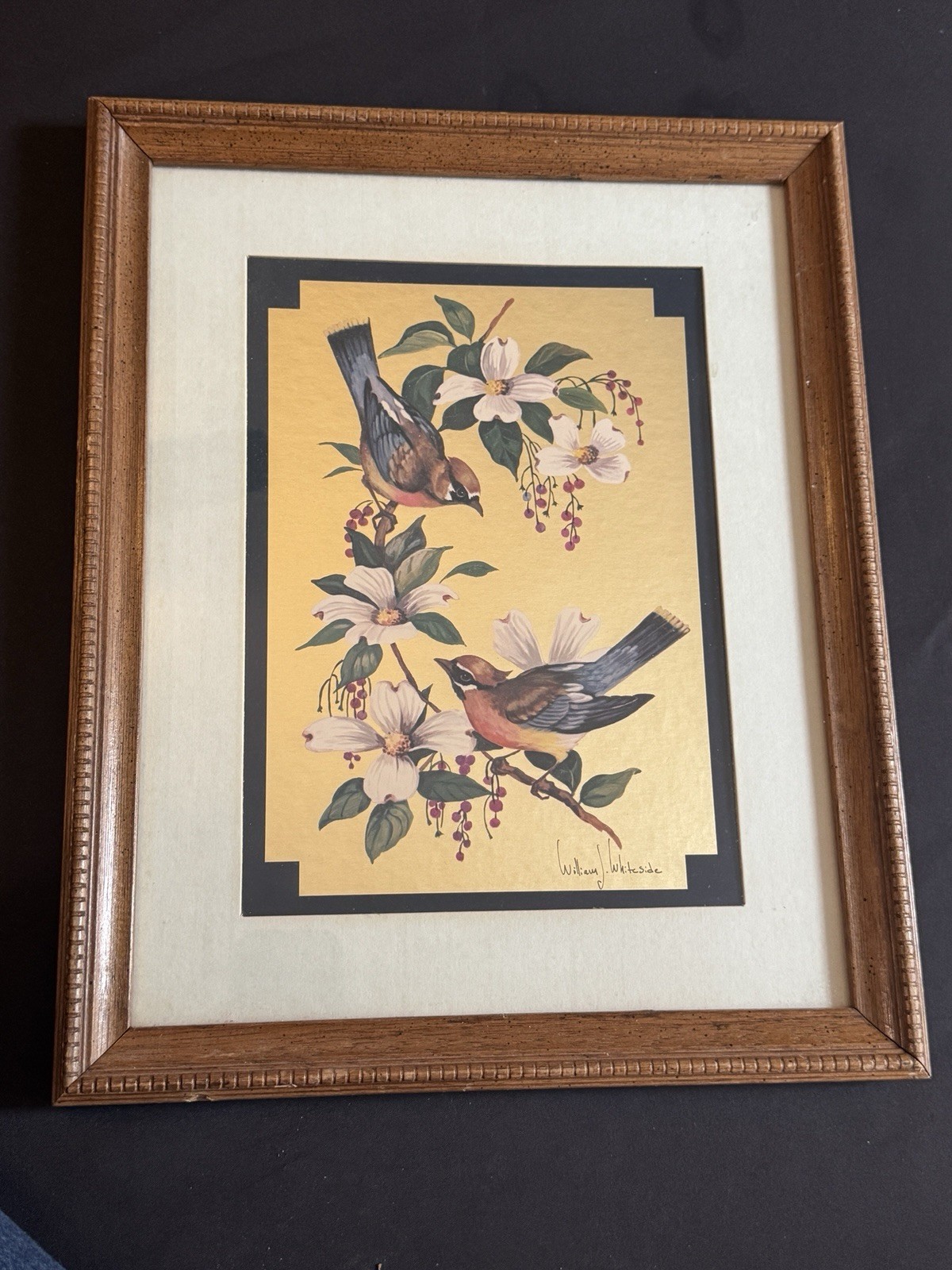 William Whiteside Framed Matted Realism Birds Flowers Art Print Portrait
