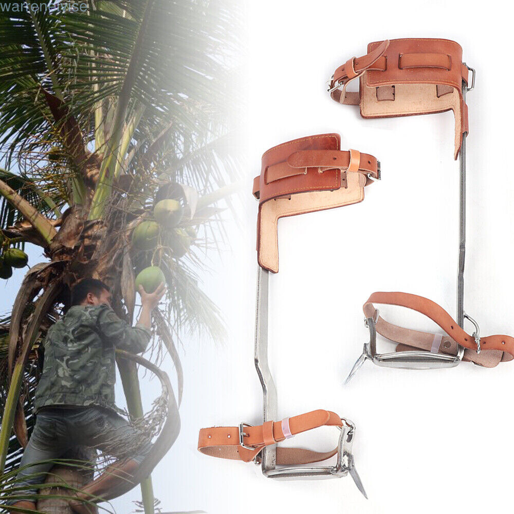 Tree Climbing Gear Kit for Tree Work 200KG Tree Climbing Tool with Tree Spikes