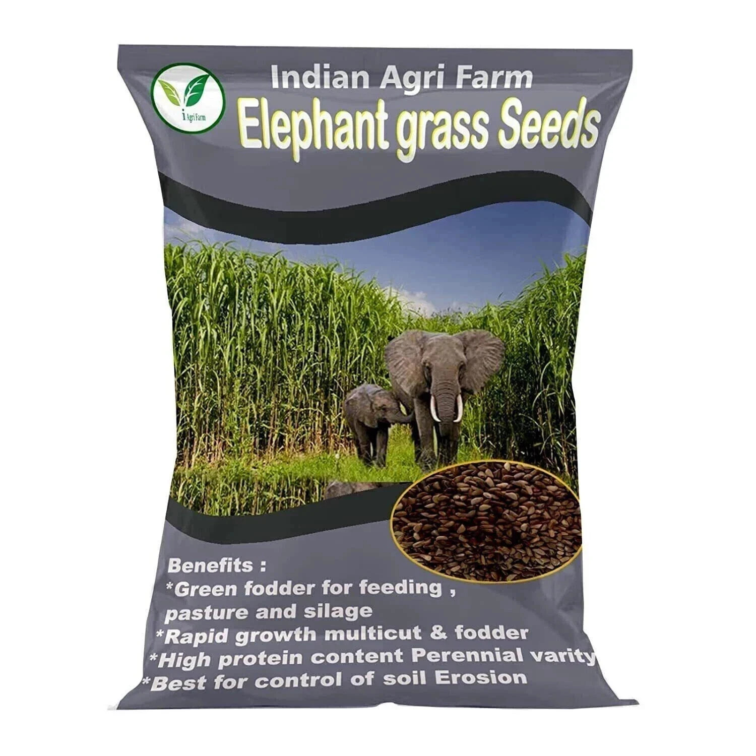 Elephant Grass - 500 gram/Pennisetum purpureum/Napier grass /Multicut Seebs$$