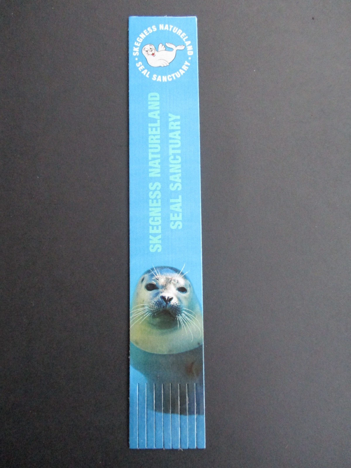 Coated Leather BOOKMARK SEAL SANCTUARY Natureland Skegness Lincolnshire Blue