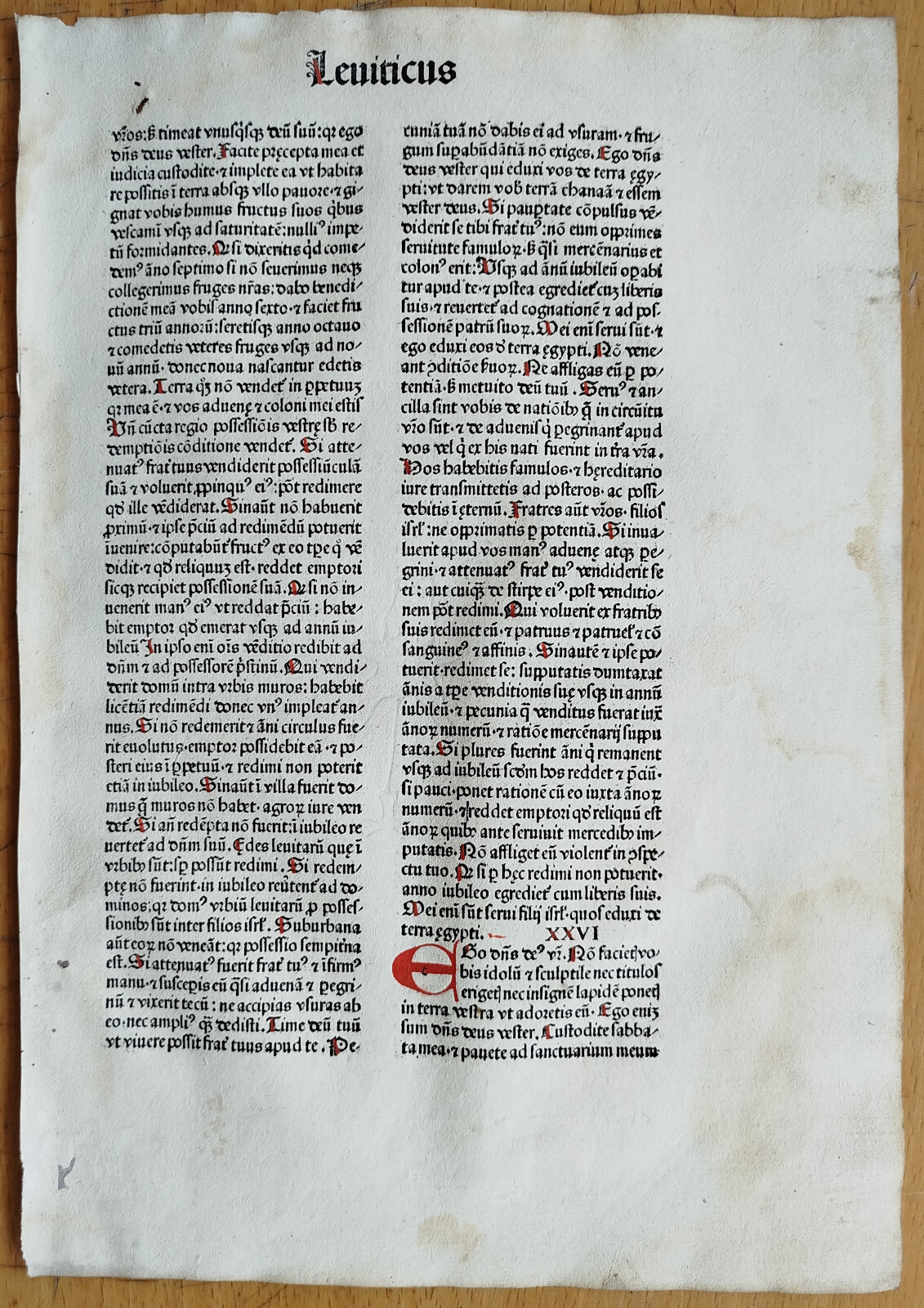 Leviticus - Decorative Incunable Leaf Biblia latina Amerbach Basel - 1481