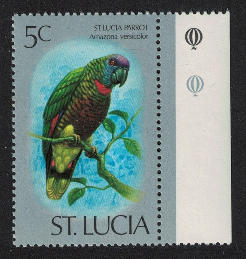 St. Lucia Amazon St Lucia Parrot Bird 5c Margin 1976 MNH SG#418