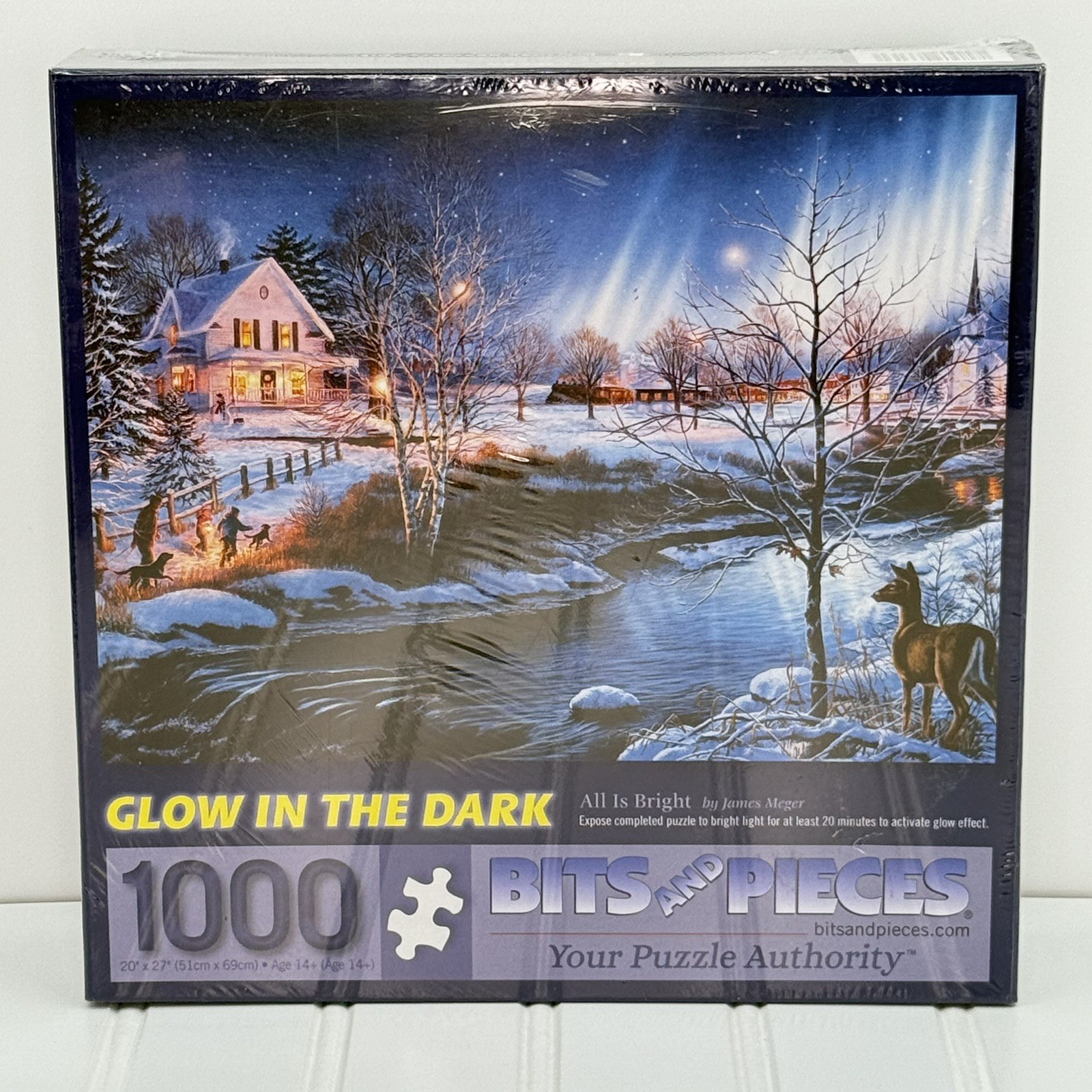 Bits and Pieces All is Bright Glow in the Dark 1000 PC Puzzle 20 x 27 New