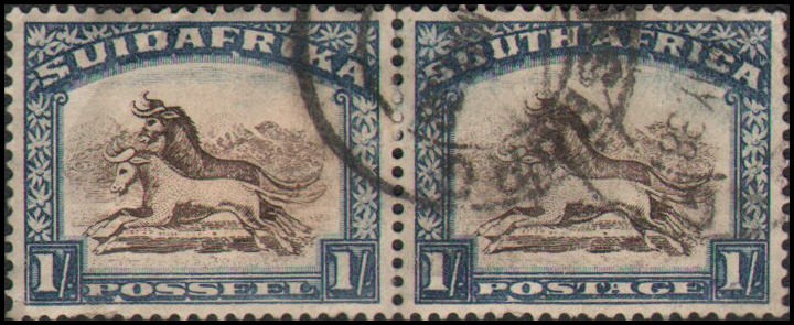 South Africa #43 Used pair