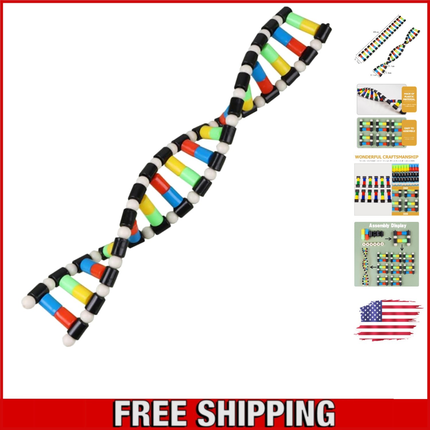 Compact Double Helix DNA Model Kit for Engaging Science Education & Learning