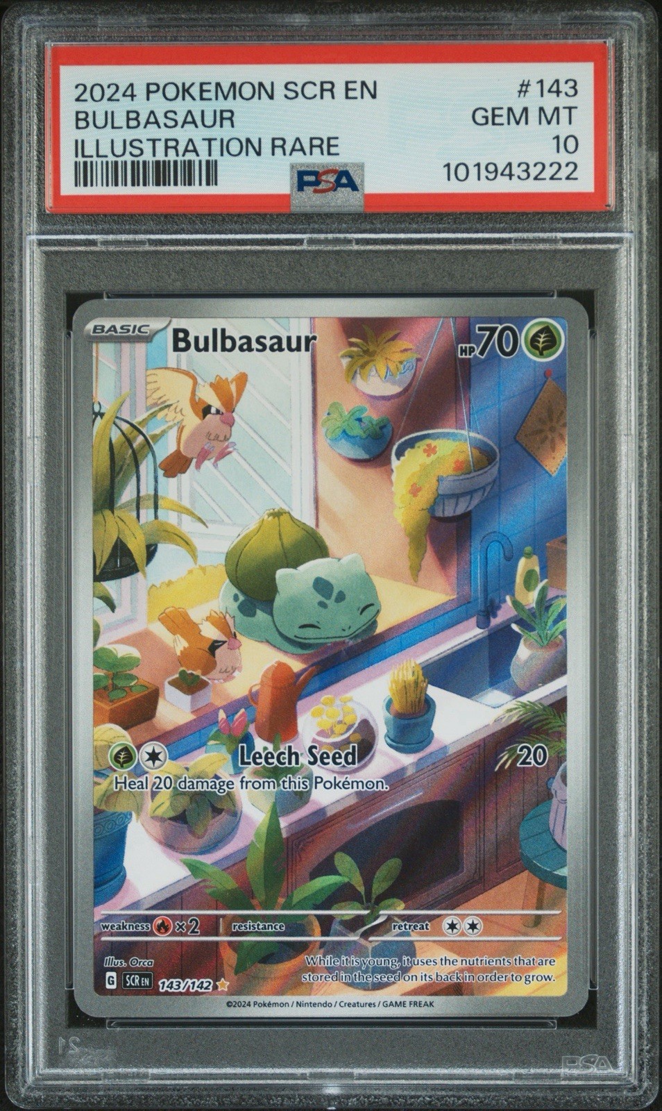 Pokémon Bulbasaur Stellar Crown Illustration Rare Card 143/142 PSA 10