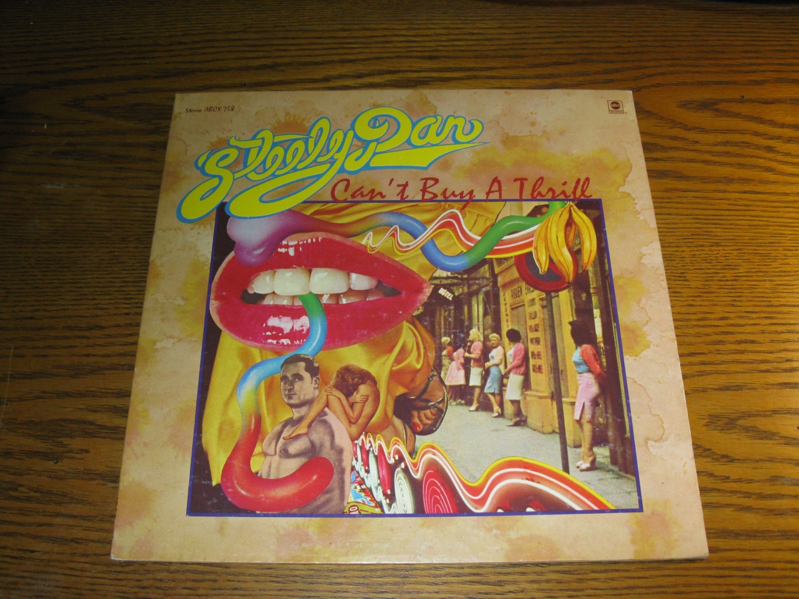 vinyl - Steely Dan - Can't Buy A Thrill - ultrasonically cleaned - new sleeve -