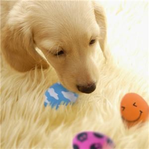 Bundle: Smile Egg Pink (Dog Toy) x5 Sets (Wholesale Item)