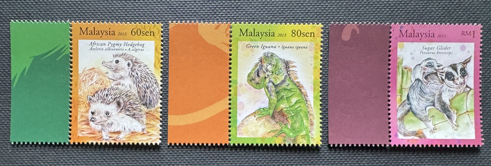 MALAYSIA 2013 Exotic Pets Hedgehog Iguana Glider Set of 3V SG#1937-1939 MNH