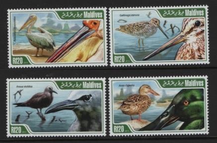Maldives Birds 2013 Water Birds MNH - BIRDS26-189