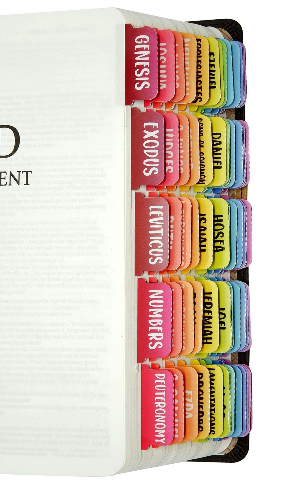 Bible Tabs Large Print Laminated Bible Dividers Old and New Testament Rainbow